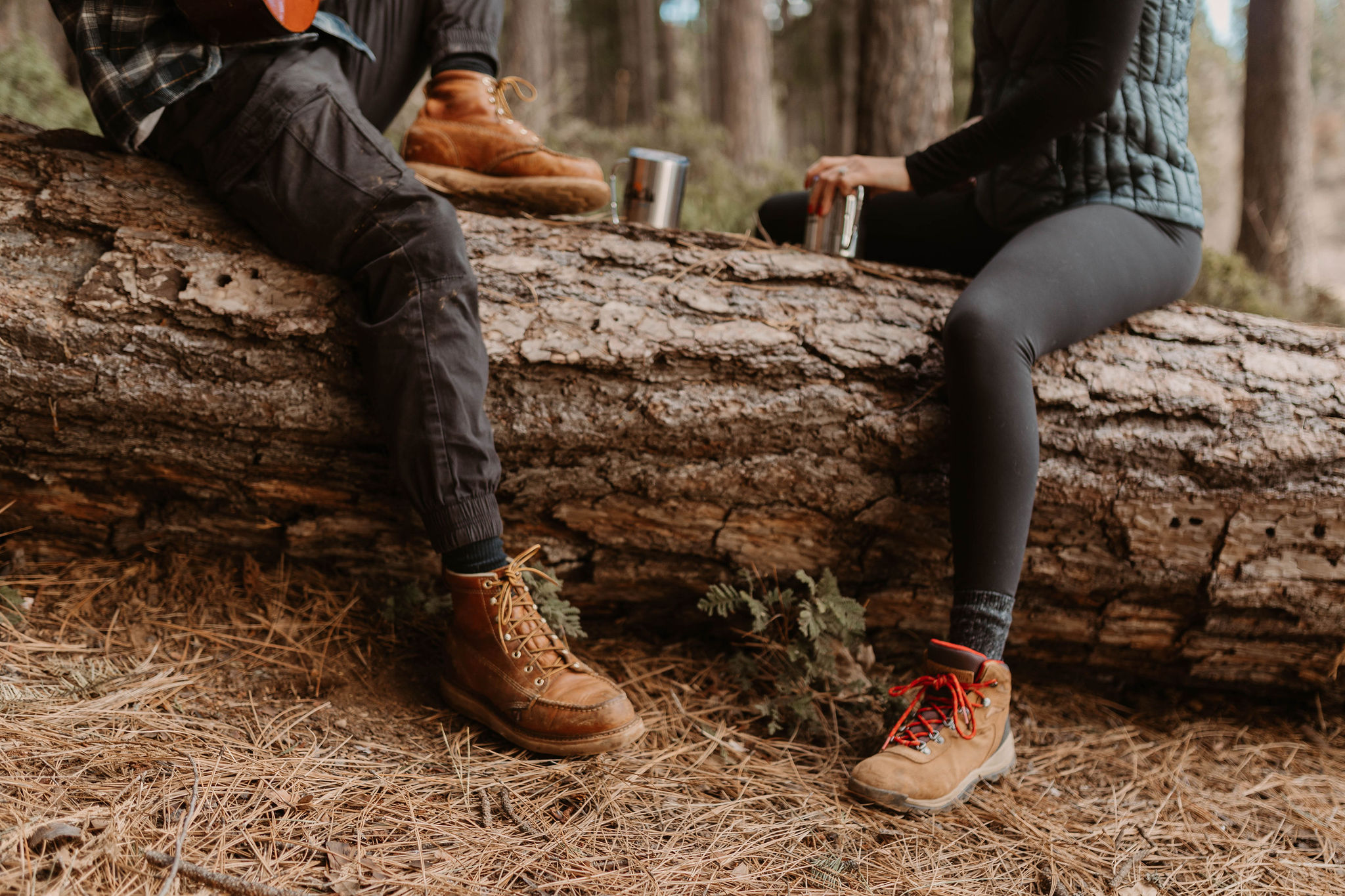 Adventure Mountain Engagement Photos in Pollock Pines, California