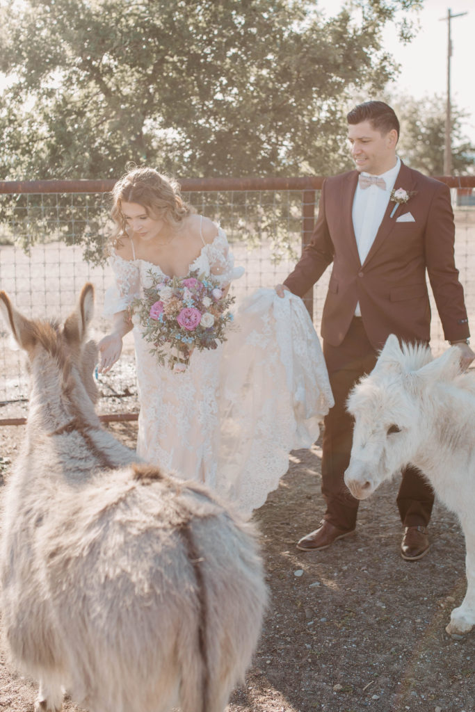 Bride and groom petting donkeys after Woodland California wedding